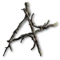 Twig Focus